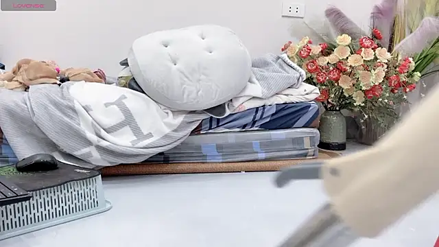 Sunflower-2k 网络视讯表演