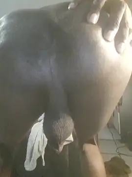 koolbend Webcam show