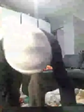 koolbend Show in webcam