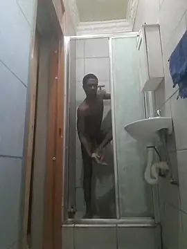 Show Webcam de koolbend