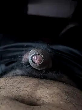 stefancole@xh Show in webcam