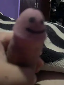 Show Webcam de HalalContents