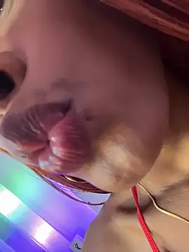 Elektra_Queen Pertunjukan Webcam