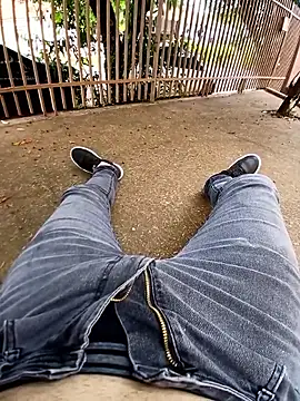 braza66 Pertunjukan Webcam