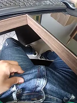 braza66 Pertunjukan Webcam