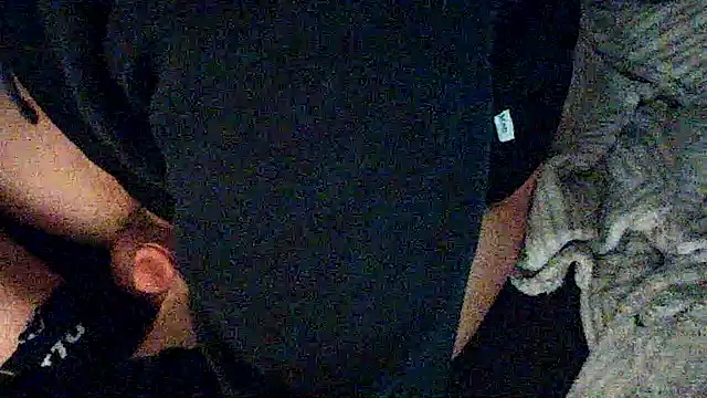 Meistro30n Webbikameraesitys