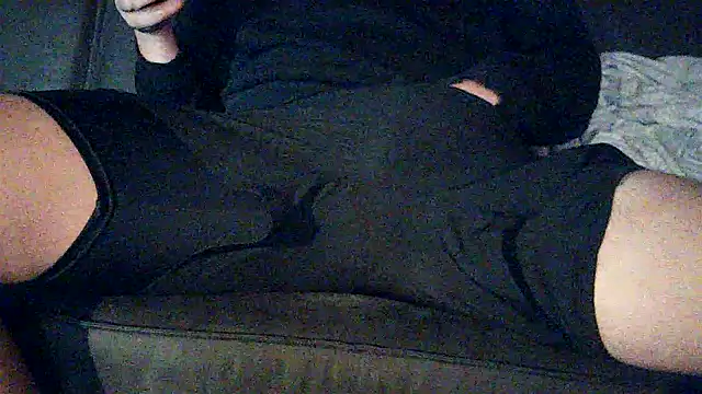 Meistro30 Show Webcam