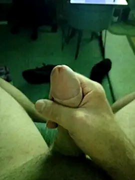 Show Webcam de Natural_Active