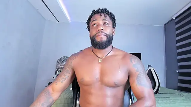 Show webcam de Dancelwashington