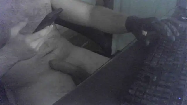 Show Webcam de jorge2002-