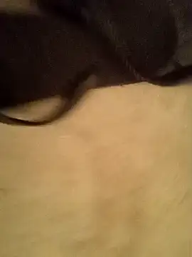 Show de webcam de carlos40404
