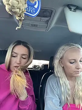 Show Webcam de MerlinDave