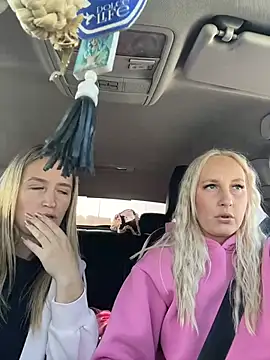 MerlinDave's Webcam Show