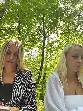 MerlinDave Webcam-Show