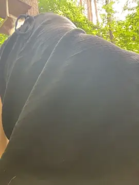 MerlinDave Show in webcam