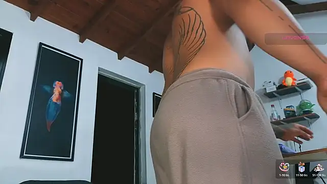 Show Webcam de SilvaBranko