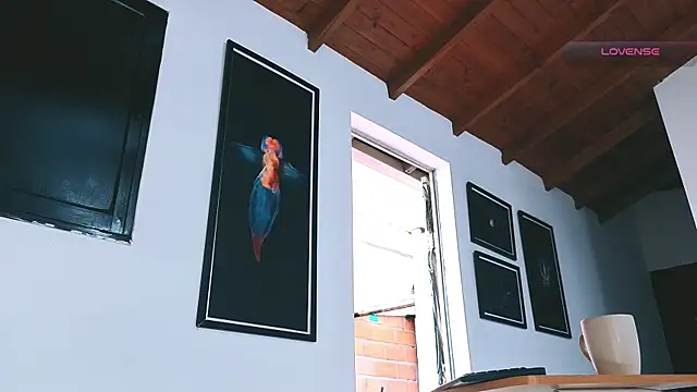 Sala de chat ao vivo de SilvaBranko