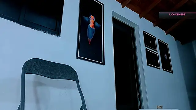 SilvaBranko élő chatszobája