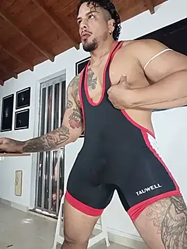 הופעת וובקאם של SilvaBranko