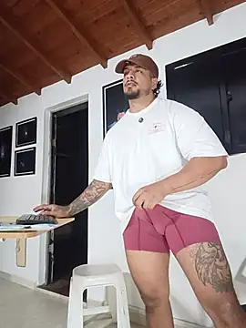 Show webcam de SilvaBranko