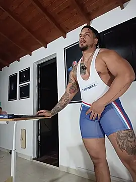 הופעת וובקאם של SilvaBranko