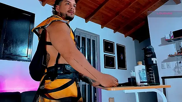 הופעת וובקאם של SilvaBranko
