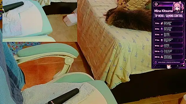 Show Webcam de minakitsume