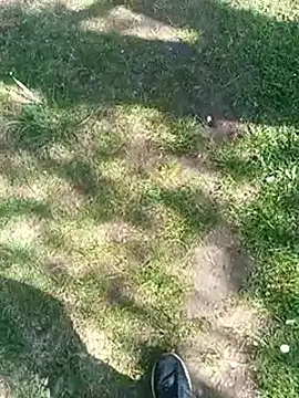 maleesa – Kamerová šou