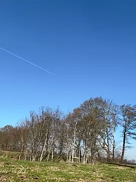 ninarandmann Webcam-Show