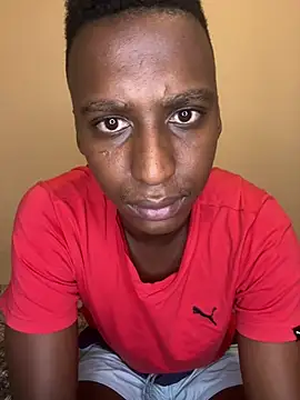 Petoria Show Webcam