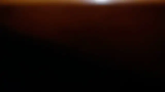 Letty_Plugxo 실시간 채팅방