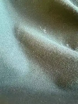 RinaMood ওয়েবক্যাম শো