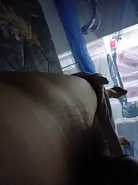 roknung 网络视讯表演