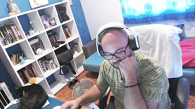 Show webcam de ravingr4d4