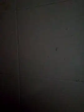 JessiGapes0 网络视讯表演