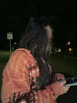 Show webcam de jackelinuh