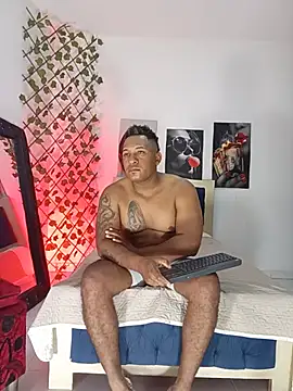 ARTHUR_MINI 网络视讯表演