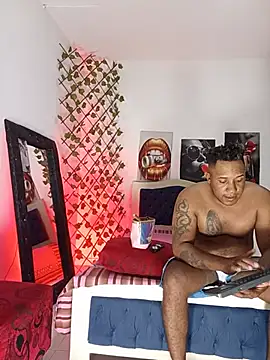 ARTHUR_MINI Webcam-Show