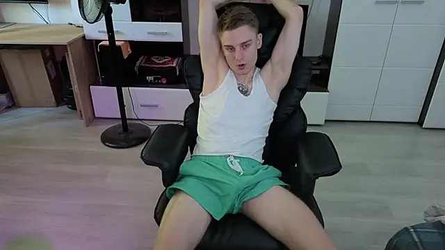 pvlpstvyn Webbikameraesitys
