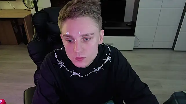 pvlpstvyn Webbikameraesitys