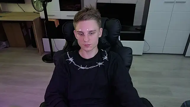 pvlpstvyn Webbikameraesitys
