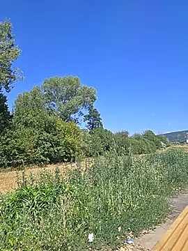 Zeefyn Webbikameraesitys