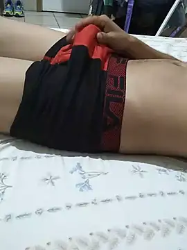 Show de Dnnlxd na webcam