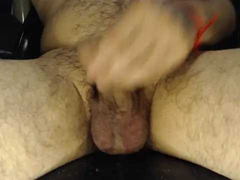 Show Webcam de papitosolo33