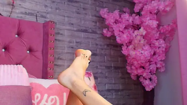 AuroraSim Show Webcam