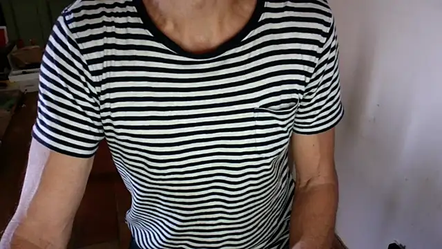Show de webcam de Artjack-cam4