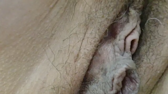 sonyx 网络视讯表演