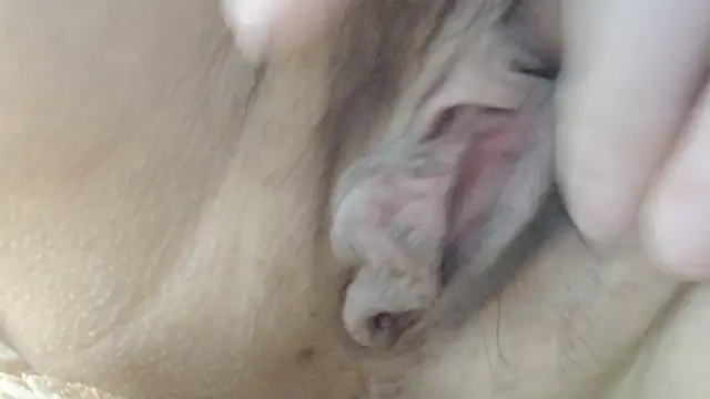 sonyx webkamerás műsora