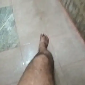 Show webcam de jockey2051992