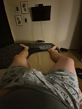 Pertunjukan Kamera Web titovilan_PL